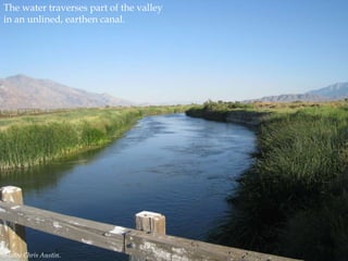 The water traverses part of the valley
in an unlined, earthen canal.

Photo by Chris Austin.

 