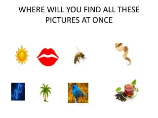 WHERE WILL YOU FIND ALL THESE
PICTURES AT ONCE
 