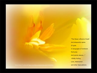 "The flower offered of itself

                                                                                   And eloquently spoke

                                                                                   Of gods

                                                                                   In languages of rainbows

                                                                                   Perfumes

                                                                                   And secret silence..."

                                                                                   -Phillip Pulfrey,

                                                                                   Love, Abstraction

“Secret Silence” by dmcordell http://www.flickr.com/photos/dmcordell/5638698800/   and other Speculations
 