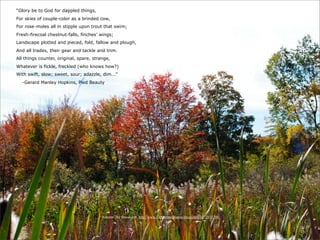 “Glory be to God for dappled things,
For skies of couple-color as a brinded cow,
For rose-moles all in stipple upon trout that swim;
Fresh-firecoal chestnut-falls, finches' wings;
Landscape plotted and pieced, fold, fallow and plough,
And all trades, their gear and tackle and trim.
All things counter, original, spare, strange,
Whatever is fickle, freckled (who knows how?)
With swift, slow; sweet, sour; adazzle, dim...”
  -Gerard Manley Hopkins, Pied Beauty




                                        “Autumn” by dmcordell http://www.flickr.com/photos/dmcordell/5072935794/
 