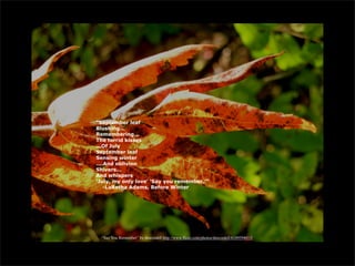 “September leaf
Blushing...
Remembering...
The torrid kisses
...Of July
September leaf
Sensing winter
....And oblivion
Shivers...
And whispers
‘July, my only love’ ‘Say you remember.’”
    -LaRetha Adams, Before Winter




  “Say You Remember” by dmcordell http://www.flickr.com/photos/dmcordell/6189594015/
 