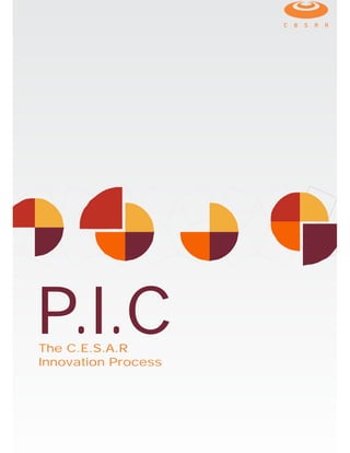 P.I.CThe C.E.S.A.R
Innovation Process
 