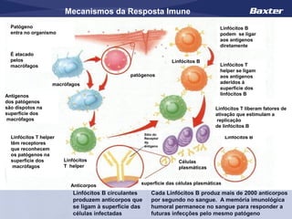 Mecanismos da Resposta Imune
  Patógeno                                                                          Linfócitos B
  entra no organismo                                                                podem se ligar
                                                                                    aos antígenos
                                                                                    diretamente
  É atacado
  pelos                                                        Linfócitos B
  macrófagos                                                                        Linfócitos T
                                                                                    helper se ligam
                                               patógenos                            aos antígenos
                    macrófagos                                                      aderidos à
                                                                                    superfície dos
Antígenos                                                                           linfócitos B
dos patógenos
são dispotos na                                                                   Linfócitos T liberam fatores de
superfície dos                                                                    ativação que estimulam a
 macrófagos                                                                       replicação
                                                                                  de linfócitos B
                                                    Sítio do
  Linfócitos T helper                               Receptor                            Linfócitos B
  têm receptores                                    do
                                                    antígeno
  que reconhecem
  os patógenos na
  superfície dos        Linfócitos                                Células
   macrófagos           T helper                                  plasmáticas


                           Anticorpos              superfície das células plasmáticas

                           Linfócitos B circulantes      Cada Linfócitos B produz mais de 2000 anticorpos
                           produzem anticorpos que       por segundo no sangue. A memória imunológica
                           se ligam à superfície das     humoral permanece no sangue para responder a
                           células infectadas use statement goes here.
                                           Internal      futuras infecções pelo mesmo patógeno
 