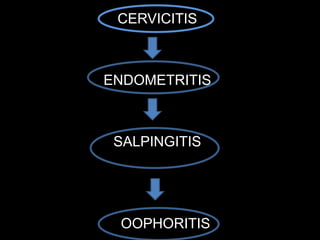 CERVICITIS
ENDOMETRITIS
SALPINGITIS
OOPHORITIS
 