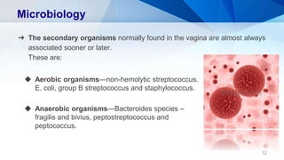 Microbiology
➔ The secondary organisms normally found in the vagina are almost always
associated sooner or later.
These are:
12
◆ Aerobic organisms—non-hemolytic streptococcus.
E. coli, group B streptococcus and staphylococcus.
◆ Anaerobic organisms—Bacteroides species –
fragilis and bivius, peptostreptococcus and
peptococcus.
 
