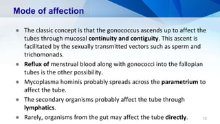 Mode of affection
● The classic concept is that the gonococcus ascends up to affect the
tubes through mucosal continuity and contiguity. This ascent is
facilitated by the sexually transmitted vectors such as sperm and
trichomonads.
● Reflux of menstrual blood along with gonococci into the fallopian
tubes is the other possibility.
● Mycoplasma hominis probably spreads across the parametrium to
affect the tube.
● The secondary organisms probably affect the tube through
lymphatics.
● Rarely, organisms from the gut may affect the tube directly. 13
 