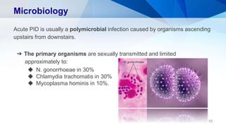 Microbiology
Acute PID is usually a polymicrobial infection caused by organisms ascending
upstairs from downstairs.
➔ The primary organisms are sexually transmitted and limited
approximately to:
◆ N. gonorrhoeae in 30%
◆ Chlamydia trachomatis in 30%
◆ Mycoplasma hominis in 10%.
10
 