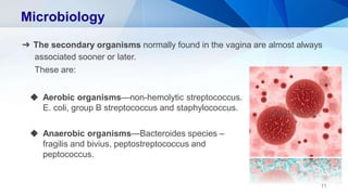 Microbiology
➔ The secondary organisms normally found in the vagina are almost always
associated sooner or later.
These are:
◆ Aerobic organisms—non-hemolytic streptococcus.
E. coli, group B streptococcus and staphylococcus.
◆ Anaerobic organisms—Bacteroides species –
fragilis and bivius, peptostreptococcus and
peptococcus.
11
 
