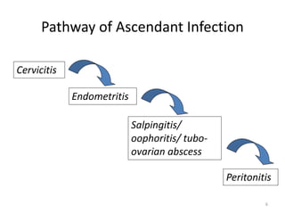 Pathway of Ascendant Infection
6
Cervicitis
Endometritis
Salpingitis/
oophoritis/ tubo-
ovarian abscess
Peritonitis
 