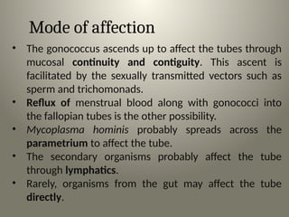 Mode of affection
• The gonococcus ascends up to affect the tubes through
mucosal continuity and contiguity. This ascent is
facilitated by the sexually transmitted vectors such as
sperm and trichomonads.
• Reflux of menstrual blood along with gonococci into
the fallopian tubes is the other possibility.
• Mycoplasma hominis probably spreads across the
parametrium to affect the tube.
• The secondary organisms probably affect the tube
through lymphatics.
• Rarely, organisms from the gut may affect the tube
directly.
 