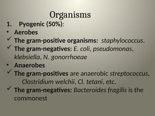 Organisms
1. Pyogenic (50%):
• Aerobes
 The gram-positive organisms: staphylococcus.
 The gram-negatives: E. coli, pseudomonas,
klebsiella, N. gonorrhoeae
• Anaerobes
 The gram-positives are anaerobic streptococcus,
Clostridium welchii, Cl. tetani, etc.
 The gram-negatives: Bacteroides fragilis is the
commonest
 