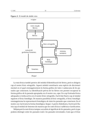 © UOC 21 La lectura
La ruta lèxica també parteix del mòdul d’identificació de lletres, però es dirigeix
cap al nostre lèxic ortogràfic. Aquest mòdul constitueix una espècie de diccionari
mental en el qual emmagatzemem la forma gràfica de totes i cadascuna de les pa-
raules que coneixem. La identificació prèvia de les lletres ens permet recuperar la
forma gràfica de la paraula apropiada; en el nostre cas, copa. Un cop l’entrada lèxica
adequada es troba activa en el nostre lèxic ortogràfic, l’activitat flueix cap al mòdul
següent: el lèxic fonològic. De manera paral·lela al lèxic ortogràfic, el lèxic fonològic
emmagatzema la representació fonològica de totes les paraules que coneixem. En el
nostre cas s’activaria la forma fonològica /kopa/. A partir d’aleshores, l’activació flu-
iria cap al mòdul de fonemes de manera que les rutes lèxica i sublèxica s’unificarien.
Mitjançant la ruta lèxica tampoc accedim al significat de les paraules, però sí que
podem distingir entre les paraules reals i les paraules inventades. Com que el lèxic
Figura 2. El model de doble ruta
«copa»
lletres
/Kopa/
trets visuals
lletres
lèxic ortogràfic
conversió
grafemes/fonemes
sistema
semàntic
lèxic
fonològic
fonemes
 
