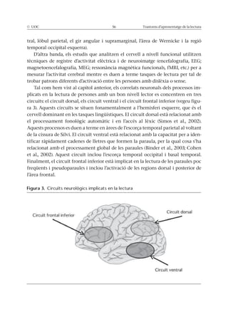 © UOC 56 Trastorns d’aprenentatge de la lectura
tral, lòbul parietal, el gir angular i supramarginal, l’àrea de Wernicke i la regió
temporal occipital esquerra).
D’altra banda, els estudis que analitzen el cervell a nivell funcional utilitzen
tècniques de registre d’activitat elèctrica i de neuroimatge (encefalografia, EEG;
magnetoencefalografia, MEG; ressonància magnètica funcionals, fMRI, etc.) per a
mesurar l’activitat cerebral mentre es duen a terme tasques de lectura per tal de
trobar patrons diferents d’activació entre les persones amb dislèxia o sense.
Tal com hem vist al capítol anterior, els correlats neuronals dels processos im-
plicats en la lectura de persones amb un bon nivell lector es concentren en tres
circuits: el circuït dorsal, els circuït ventral i el circuït frontal inferior (vegeu figu-
ra 3). Aquests circuïts se situen fonamentalment a l’hemisferi esquerre, que és el
cervell dominant en les tasques lingüístiques. El circuït dorsal està relacionat amb
el processament fonològic automàtic i en l’accés al lèxic (Simos et al., 2002).
Aquests processos es duen a terme en àrees de l’escorça temporal parietal al voltant
de la cissura de Silvi. El circuït ventral està relacionat amb la capacitat per a iden-
tificar ràpidament cadenes de lletres que formen la paraula, per la qual cosa s’ha
relacionat amb el processament global de les paraules (Binder et al., 2003; Cohen
et al., 2002). Aquest circuït inclou l’escorça temporal occipital i basal temporal.
Finalment, el circuït frontal inferior està implicat en la lectura de les paraules poc
freqüents i pseudoparaules i inclou l’activació de les regions dorsal i posterior de
l’àrea frontal.
Figura 3. Circuïts neurològics implicats en la lectura
 