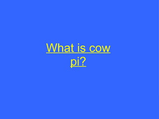 What is cow pi? 