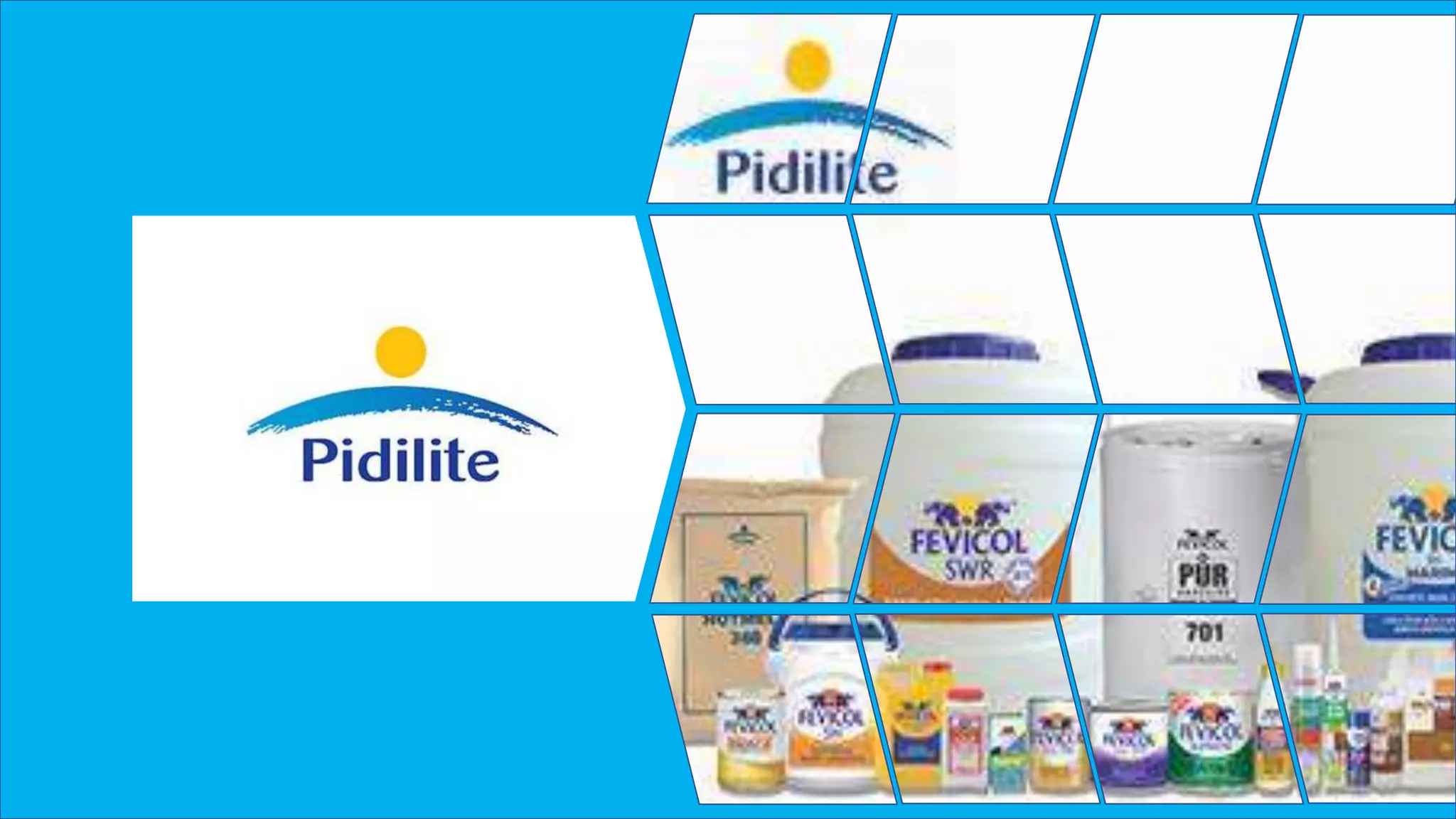 Pidilite pptx Pidilite pptx
