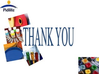 Pidilite 01