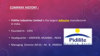 Pidilite Adhesive Manufacturer In India PPTX Pidilite Adhesive Manufacturer In India PPTX