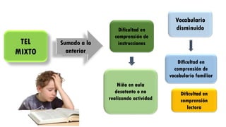 TEL
MIXTO
Sumado a lo
anterior
Dificultad en
comprensión de
instrucciones
Niño en aula
desatento o no
realizando actividad
Dificultad en
comprensión
lectora
Vocabulario
disminuido
Dificultad en
comprensión de
vocabulario familiar
 