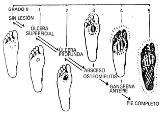 Dr. Eugenio José Vargas Carbajal
CMP 11161 - RNE 4368
 