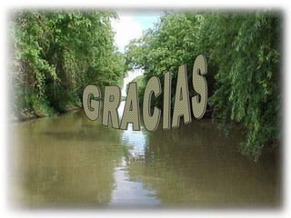 Dr. Eugenio José Vargas Carbajal
CMP 11161 - RNE 4368
 