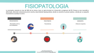 FISIOPATOLOGIA
La neuropatia, presente en mas del 90% de las ulceras, tiene un apel principal en el desarrollo y progresion del PD. Provoca un pie insensible y
deformado, alterando la biomecanica de la marcha, desarrollando hiperqueratosis, donde se concentra la presion plantar, y donde por un pequeño
traumatismo se produce la ulcera
PREDISPONENTES
- Neuropatia y micro y
macroangiopatia
AGRAVANTES
- Infeccion e isquemia
PRECIPITANTES
- Traumatismos
Descargado por Marcela Diaz
(jennymarceladiazdiaz@gmail.com)
Encuentra más documentos en www.udocz.com
 