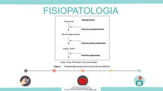 FISIOPATOLOGIA
Descargado por Marcela Diaz
(jennymarceladiazdiaz@gmail.com)
Encuentra más documentos en www.udocz.com
 