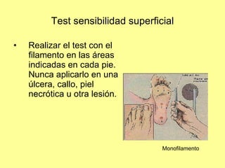 Test sensibilidad superficial Realizar el test con el filamento en las áreas indicadas en cada pie. Nunca aplicarlo en una úlcera, callo, piel necrótica u otra lesión. Monofilamento 