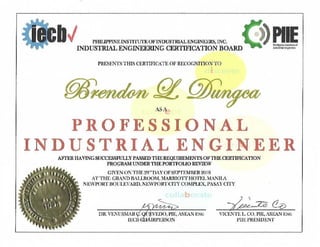 Professional Industrial Engineer