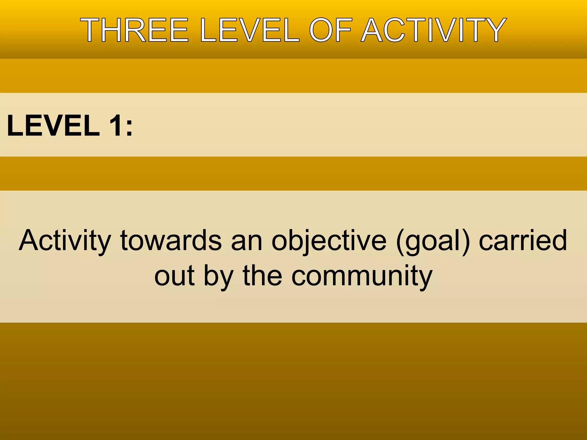 LEVEL 1: 
Activity towards an objective (goal) carried 
out by the community 
 