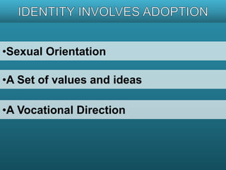 •Sexual Orientation 
•A Set of values and ideas 
•A Vocational Direction 
 
