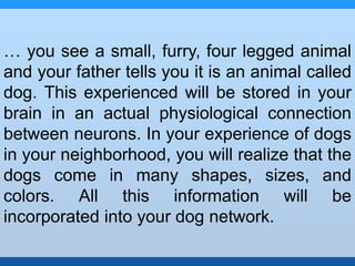 … you see a small, furry, four legged animal 
and your father tells you it is an animal called 
dog. This experienced will be stored in your 
brain in an actual physiological connection 
between neurons. In your experience of dogs 
in your neighborhood, you will realize that the 
dogs come in many shapes, sizes, and 
colors. All this information will be 
incorporated into your dog network. 
 