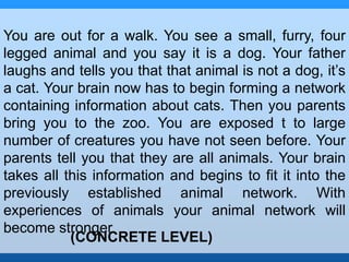 You are out for a walk. You see a small, furry, four 
legged animal and you say it is a dog. Your father 
laughs and tells you that that animal is not a dog, it’s 
a cat. Your brain now has to begin forming a network 
containing information about cats. Then you parents 
bring you to the zoo. You are exposed t to large 
number of creatures you have not seen before. Your 
parents tell you that they are all animals. Your brain 
takes all this information and begins to fit it into the 
previously established animal network. With 
experiences of animals your animal network will 
become stronger 
(CONCRETE LEVEL) 
 