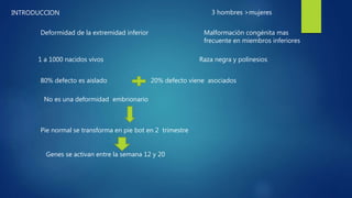 INTRODUCCION
Deformidad de la extremidad inferior
1 a 1000 nacidos vivos
Malformación congénita mas
frecuente en miembros inferiores
80% defecto es aislado 20% defecto viene asociados
No es una deformidad embrionario
Pie normal se transforma en pie bot en 2 trimestre
Genes se activan entre la semana 12 y 20
Raza negra y polinesios
3 hombres >mujeres
 