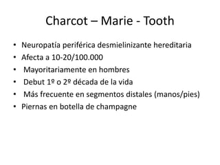 Charcot – Marie - Tooth
• Neuropatía periférica desmielinizante hereditaria
• Afecta a 10-20/100.000
• Mayoritariamente en hombres
• Debut 1º o 2º década de la vida
• Más frecuente en segmentos distales (manos/pies)
• Piernas en botella de champagne
 