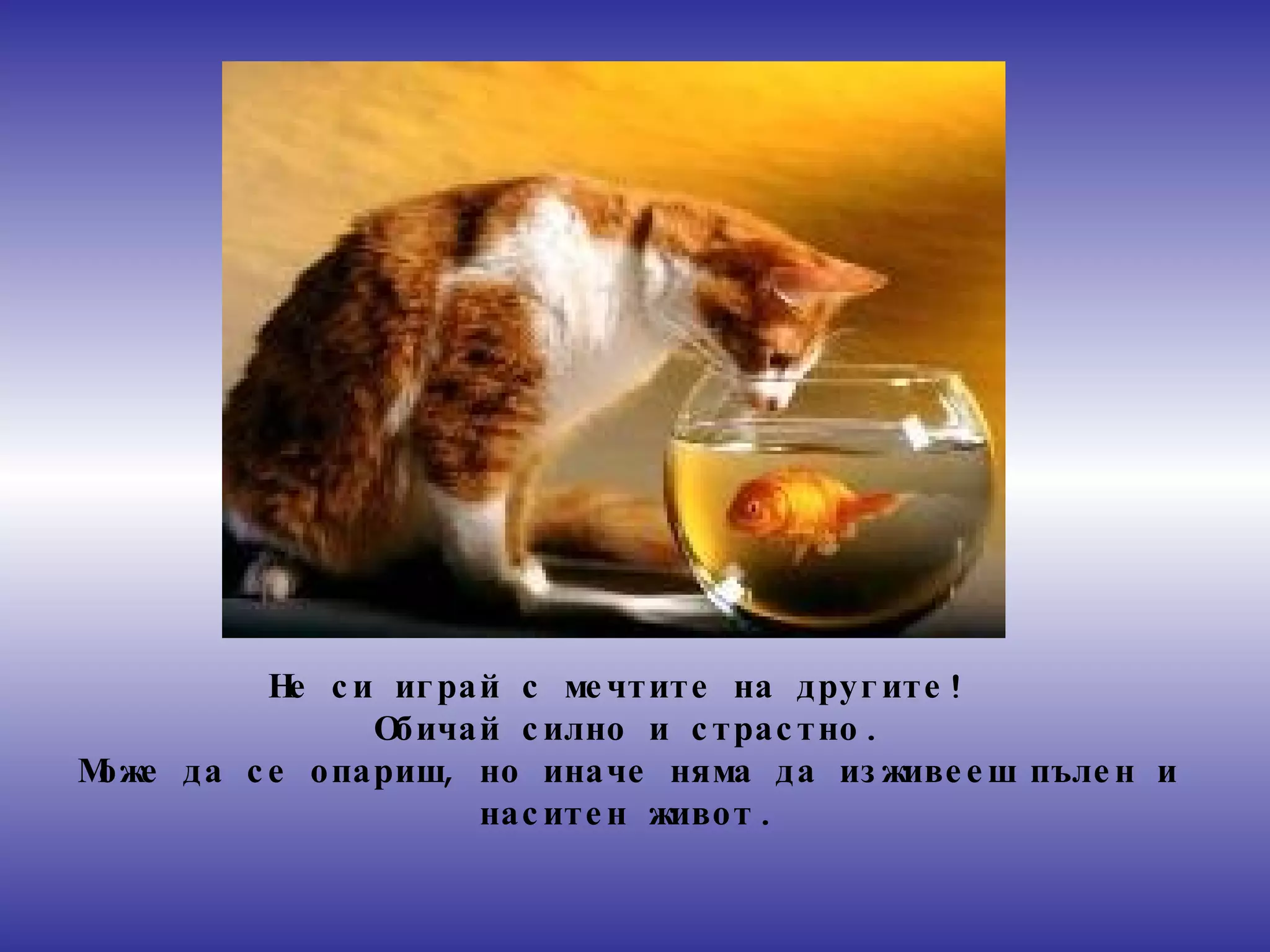 Не си играй с мечтите на другите!   Обичай силно и страстно . Може да се опариш, но иначе няма да изживееш пълен и наситен живот . 