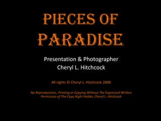 Pieces of Paradise Presentation & Photographer Cheryl L. Hitchcock All rights © Cheryl L. Hitchcock 2006 No Reproductions, Printing or Copying Without The Expressed Written Permission of The Copy Right Holder, Cheryl L. Hitchcock 