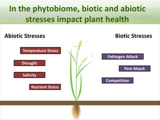 Pieces of the phytobiome: multitrophic and environmental influences on plant health. Jan Leach