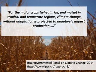 Pieces of the phytobiome: multitrophic and environmental influences on plant health. Jan Leach