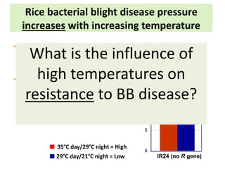 Pieces of the phytobiome: multitrophic and environmental influences on plant health. Jan Leach