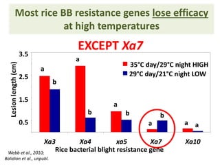 Pieces of the phytobiome: multitrophic and environmental influences on plant health. Jan Leach