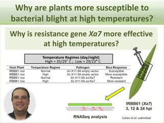 Pieces of the phytobiome: multitrophic and environmental influences on plant health. Jan Leach