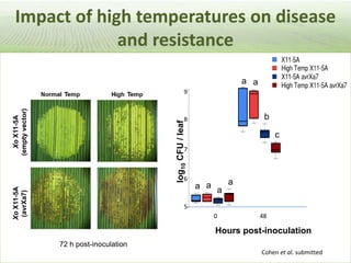 Pieces of the phytobiome: multitrophic and environmental influences on plant health. Jan Leach