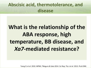 Pieces of the phytobiome: multitrophic and environmental influences on plant health. Jan Leach