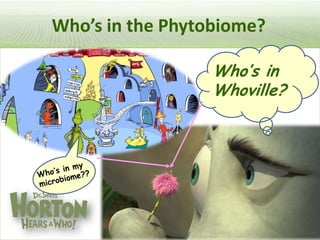 Pieces of the phytobiome: multitrophic and environmental influences on plant health. Jan Leach