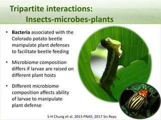 Pieces of the phytobiome: multitrophic and environmental influences on plant health. Jan Leach