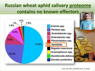Pieces of the phytobiome: multitrophic and environmental influences on plant health. Jan Leach