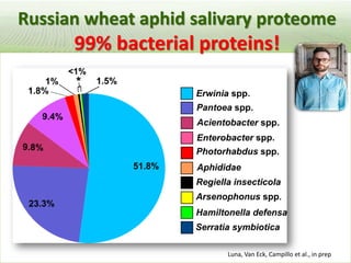 Pieces of the phytobiome: multitrophic and environmental influences on plant health. Jan Leach