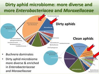 Pieces of the phytobiome: multitrophic and environmental influences on plant health. Jan Leach