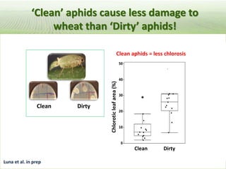 Pieces of the phytobiome: multitrophic and environmental influences on plant health. Jan Leach
