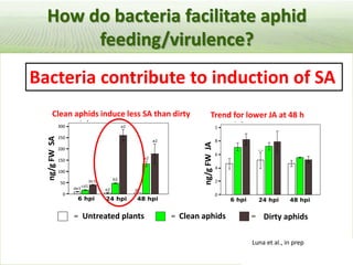 Pieces of the phytobiome: multitrophic and environmental influences on plant health. Jan Leach